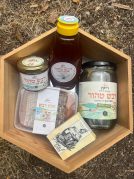 ⁦דבש טהור בבקבוק לחיץ⁩ – תמונה ⁦3⁩