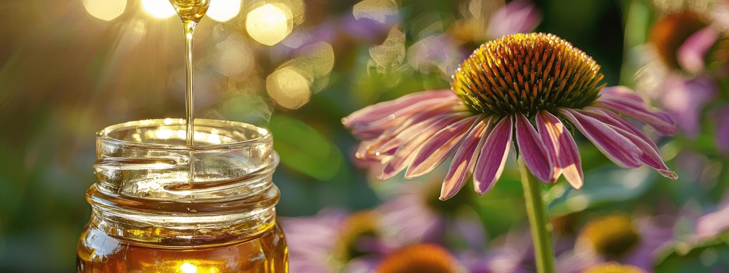 דבש פרחי בר